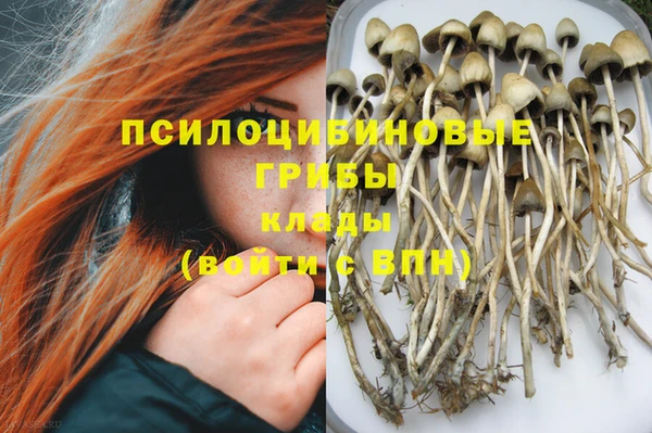 не бодяженный Козловка