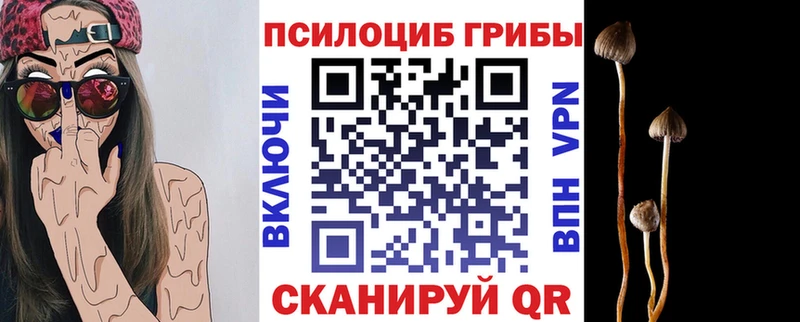 Купить закладки  Спас-Деменск  Галлюциногенные грибы Psilocybine cubensis 